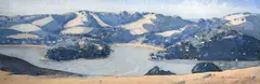 Ben Woollcombe, Putiki Kokoru, watercolour on paper