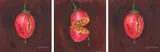 Sylvia Siddell, Tamarillo, oil on canvas, triptych