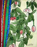 Lockie Kaye, Untitled (fuschia), oil on canvas