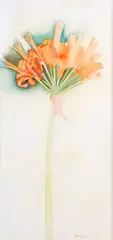 Rita Angus, Nerine, watercolour