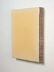 Dirk Salz, Untitled No. 2155, resin on board