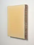 Dirk Salz, Untitled No. 2155, resin on board
