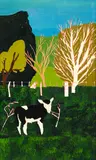 Jeffrey Harris, Calf