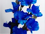 Richard Maloy, Gladioli - Composition Six (2000), C-type print, 2/3