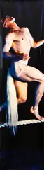 Christine Webster, Detail from 'Circus of Angels' with Douglas Wright (Satyr), Cibachrome print
