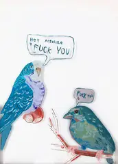 Sam Mitchell, Hey Arsehole, acrylic on perspex