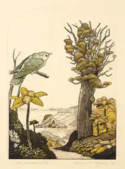 Russell Jackson, Piha - Shining Cuckoo, etching, 81/100