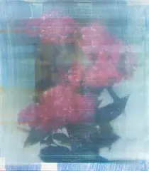 James Cousins, pl.523 (2013), oil and acrylic on canvas