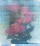 James Cousins, pl.523 (2013), oil and acrylic on canvas