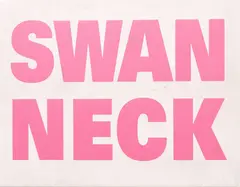 Swan Neck by Mary-Louise Browne, screenprint on vinyl, offered Feb 2024