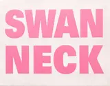 Mary-Louise Browne, Swan Neck, screenprint on vinyl