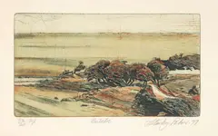 Stanly Palmer, Waitoitoi, bamboo engraving, 33/60