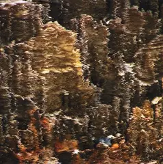 Ngawha Panel 01 by Lisa Reihana, C-type print, 1/5, sold Feb 2024