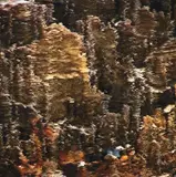 Lisa Reihana, Ngawha Panel 01, C-type print, 1/5