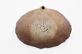 Len Castle, Hanging form, stoneware with textured surface, iron oxide wash and ochre pigment