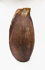 Floor vase by Margaret Milne, stoneware with textured matt surface and umber finish, sold Feb 2024