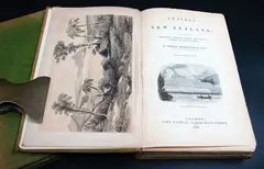 Ernest Deiffenbach, Travels in New Zealand