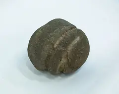 Māhē, Large stone sinker, with recessed lashing grooves around the circumference