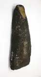 Tōki Okamoto, Adze [2x]
