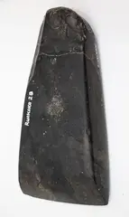 Tōki Okamoto, Adze, 18th century basalt stone adze with mottled grey colour, one chip on the blade edge, marked ‘Ruakaka 2B’