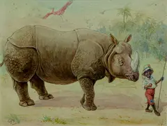 G.H.T., Satirical study of a young Native boy leading a Rhinoceros by its horn., watercolour