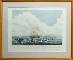 William Huggins, The South Seas Whale Fishery