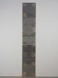 Stephen Bambury, Ghost Ladder (III), chemical action and silver leaf on seven aluminium panels
