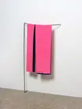 Helen Calder, Double Pink, acrylic paint skin and steel bracket (2018)
