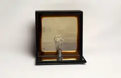 Bulb Reflection II by Bill Culbert, mixed media, 3/10, sold Nov 2023