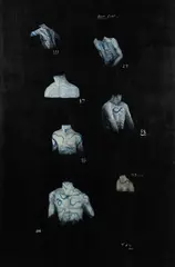 Body Corp No. 2 by Tony de Lautour, acrylic and oil on linen canvas, sold Nov 2023
