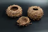 Willa Rogers, Trio of coiled baskets, pine needles, cabbage tree, jacaranda, phoenix palm and waxed threads
