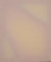 Daylight Gatherings - study by Polly Gilroy, silk, chiffon & pine, offered Oct 2023