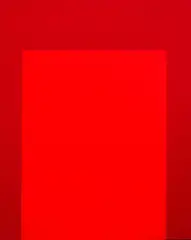 Chris Heaphy, Kind O Red, oil on linen