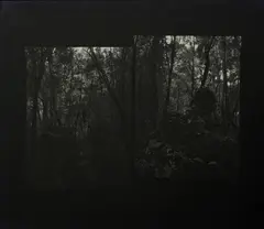 Mark Adams, Dusky Sound, gelatin silver print, diptych