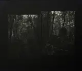 Mark Adams, Dusky Sound