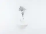 Alan Ibell, Kindling (The Unbound Offering), acrylic on board