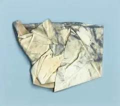 Dane Mitchell, Dust Breeding, inkjet on archival paper, 1/5