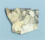 Dane Mitchell, Dust Breeding