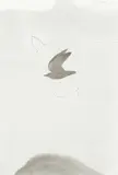 Michael Harrison, Untitled