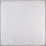Isaac Layman, Ceiling Tile No. I, archival inkjet print