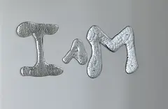 Rob Wynne, I Am, mirrored wall sculpture, 2009