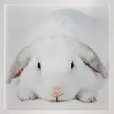 Lynne Roberts-Goodwin, Cloud number 9, type C print, edition of 20