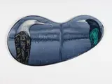 Bill Hammond, Lake Kidney, acrylic and metallic pigment on wood