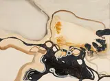 Natalie Findlay, Untitled - Abstract Forms, oil on board