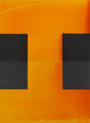 Stephen Bambury, Necessary Protection (XVII), acrylic, resin and graphite on two aluminium panels
