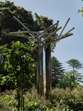 Guy Ngan, Chinese New Zealander’s Millennium Tree, stainless steel