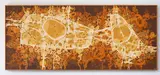 Guy Ngan, Australasia No. I