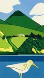 Robin White, White Oyster Catcher and Harbour Cone, screenprint, 47/50