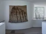 Judy McIntosh Wilson, Brown Fleece V, wool hanging