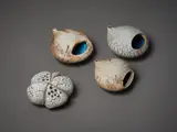 Len Castle, Three salt pourers, together with an incense holder